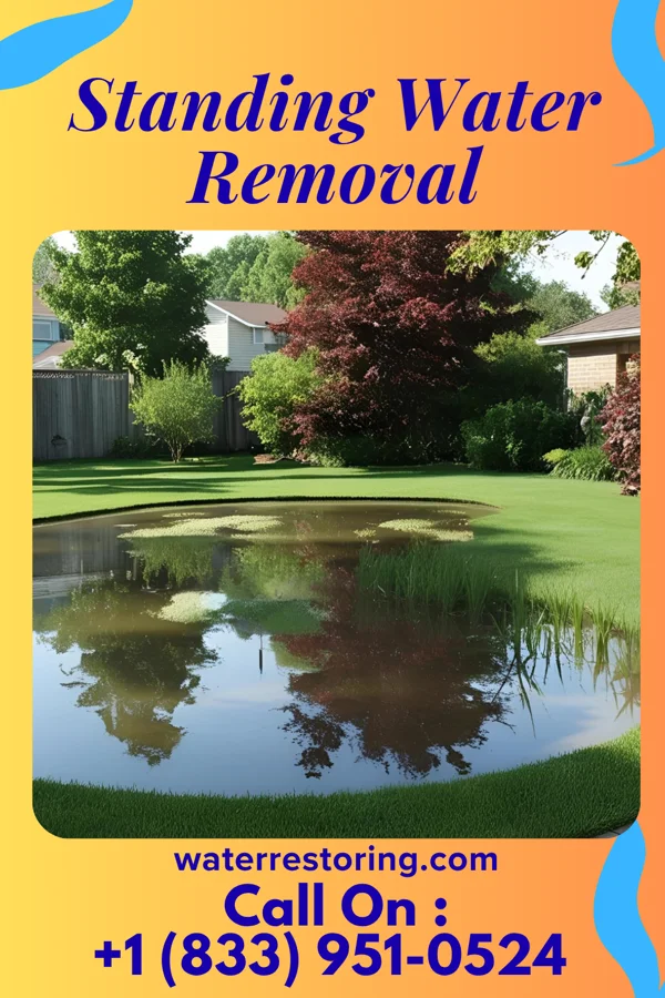 Standing Water Removal in Kansas, AL